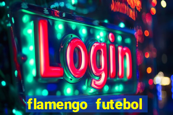 flamengo futebol play hd